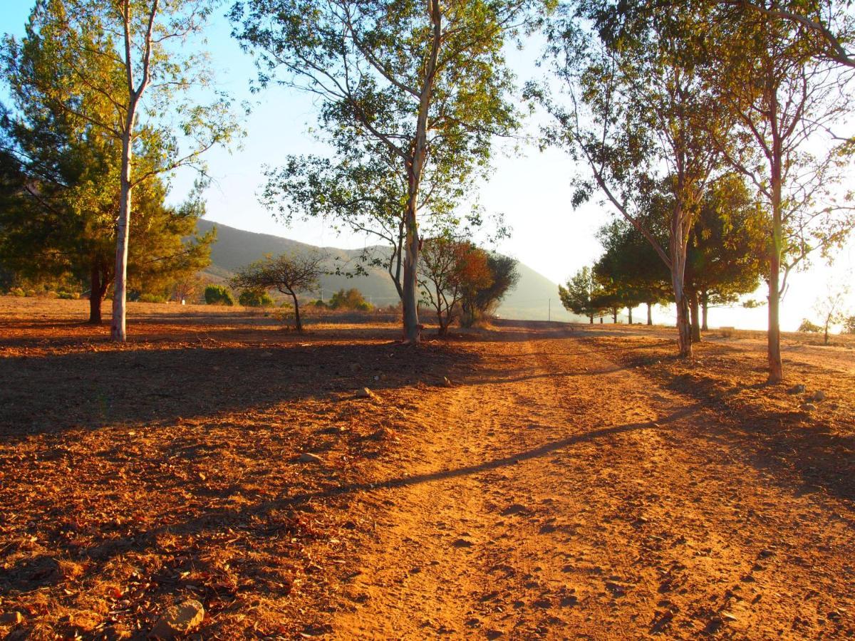 Casa Mayoral B&B Pet Friendly Valle de Guadalupe Exteriér fotografie
