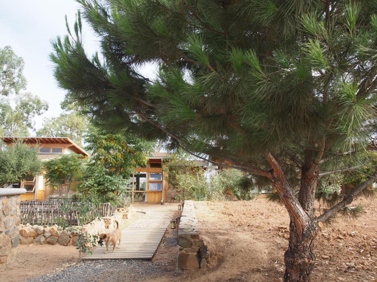 Casa Mayoral B&B Pet Friendly Valle de Guadalupe Exteriér fotografie