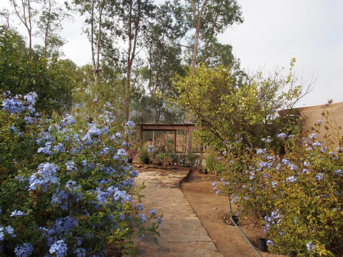 Casa Mayoral B&B Pet Friendly Valle de Guadalupe Exteriér fotografie