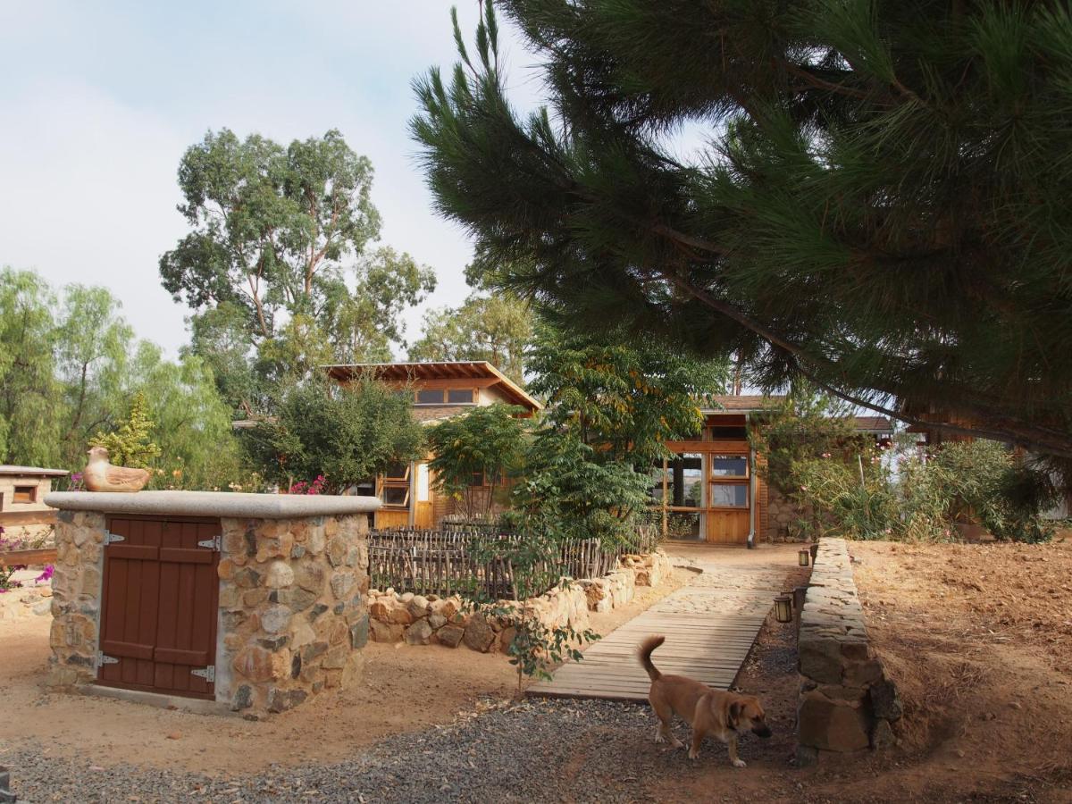 Casa Mayoral B&B Pet Friendly Valle de Guadalupe Exteriér fotografie