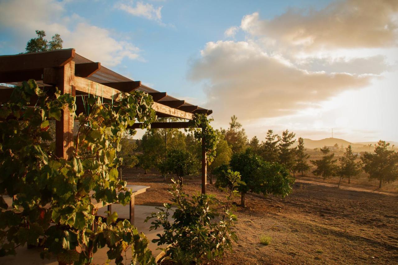 Casa Mayoral B&B Pet Friendly Valle de Guadalupe Exteriér fotografie