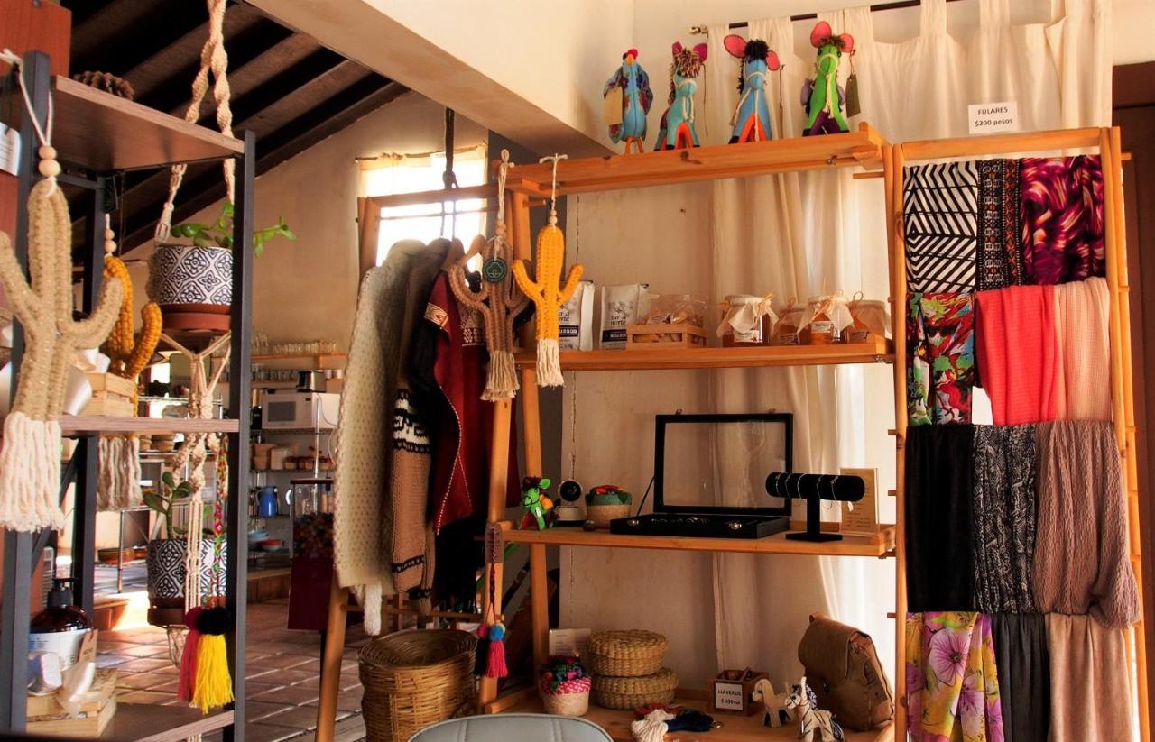 Casa Mayoral B&B Pet Friendly Valle de Guadalupe Exteriér fotografie