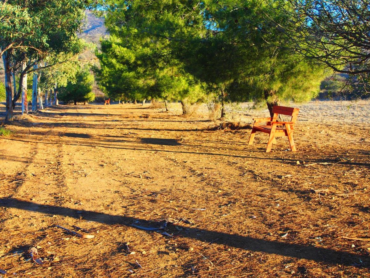 Casa Mayoral B&B Pet Friendly Valle de Guadalupe Exteriér fotografie