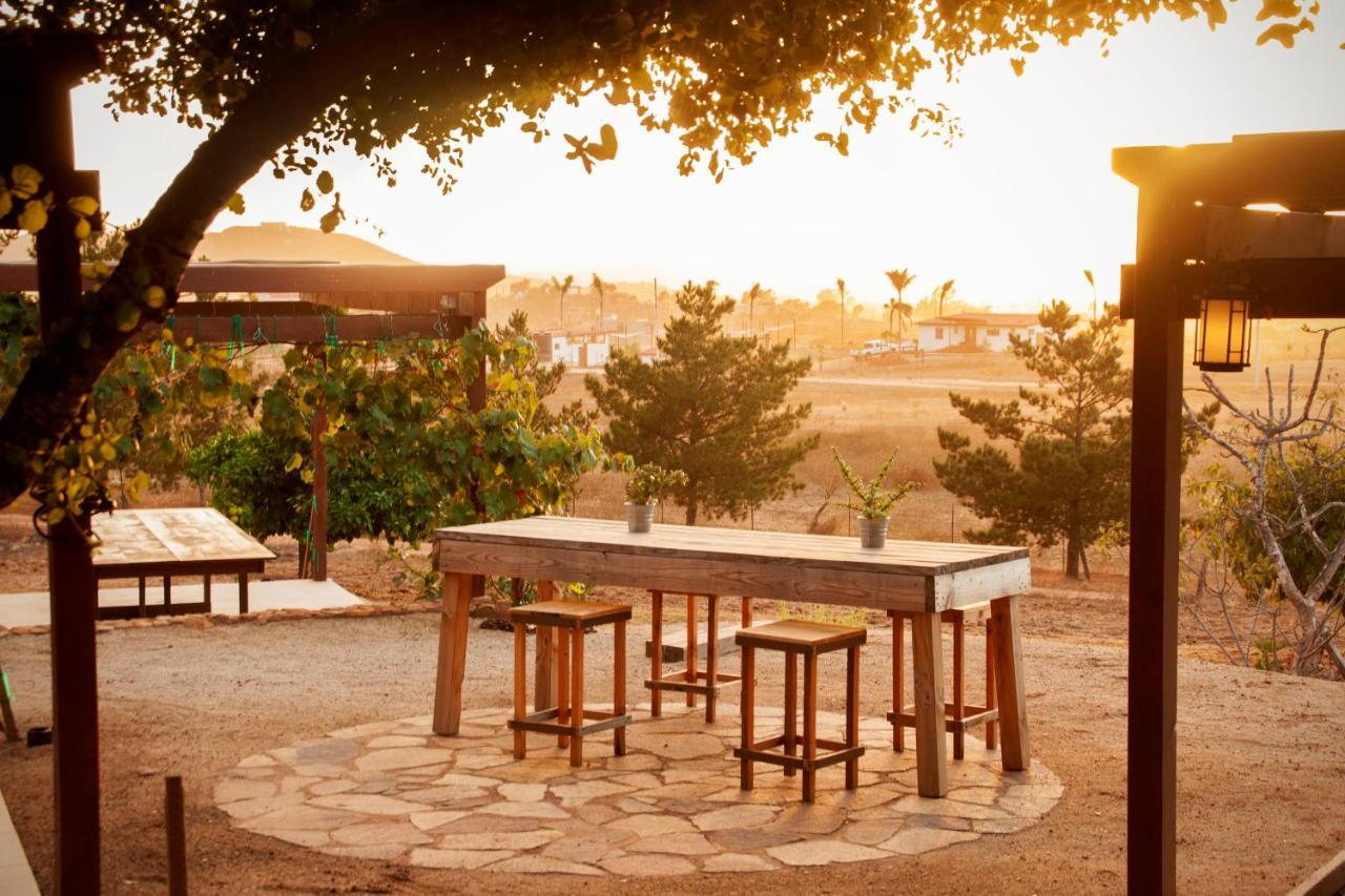 Casa Mayoral B&B Pet Friendly Valle de Guadalupe Exteriér fotografie