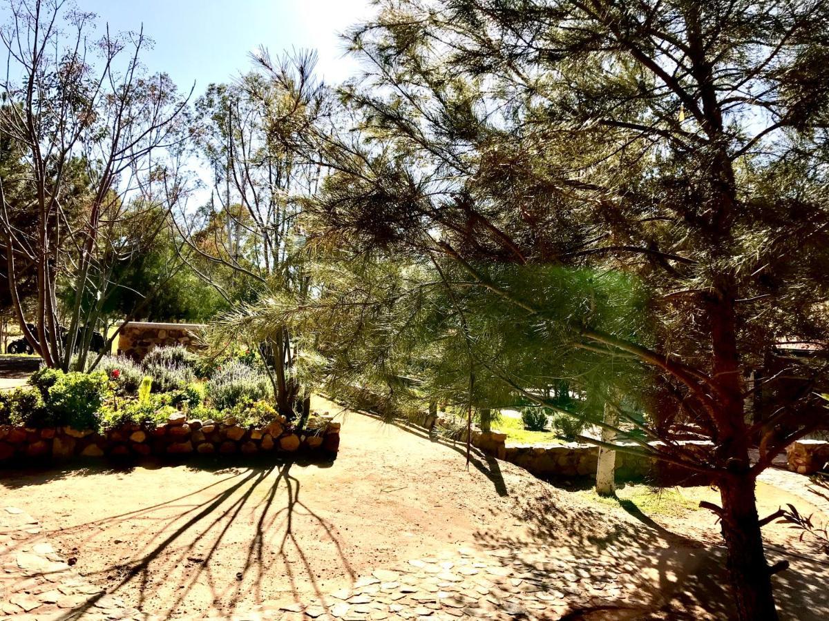 Casa Mayoral B&B Pet Friendly Valle de Guadalupe Exteriér fotografie