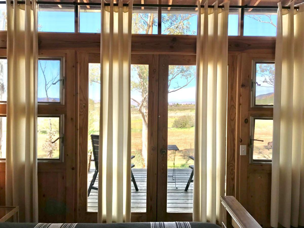 Casa Mayoral B&B Pet Friendly Valle de Guadalupe Exteriér fotografie