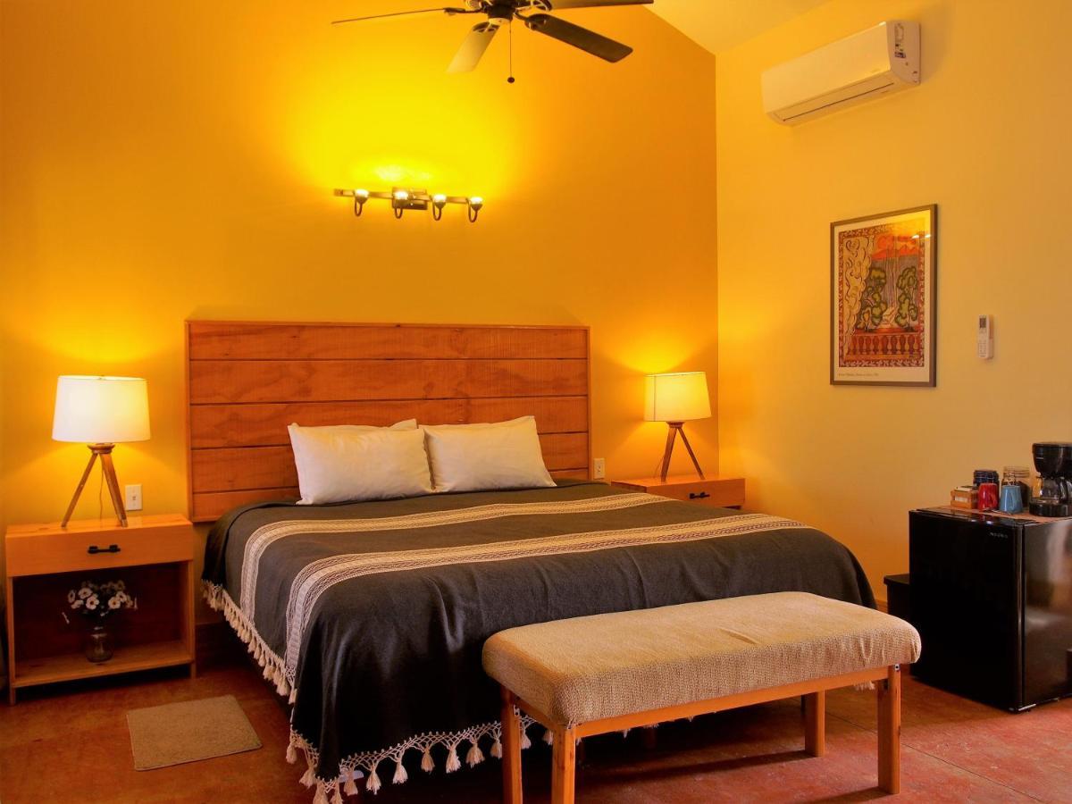 Casa Mayoral B&B Pet Friendly Valle de Guadalupe Exteriér fotografie