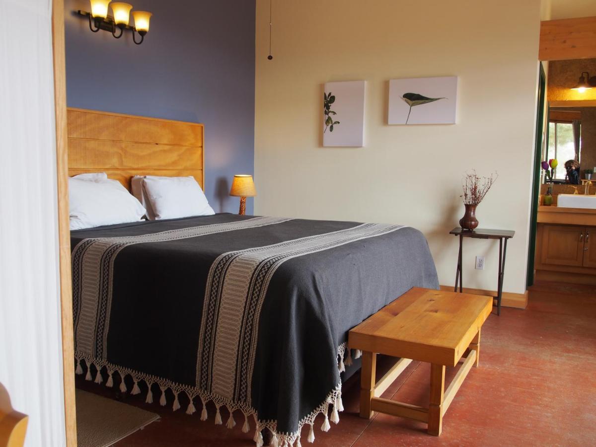 Casa Mayoral B&B Pet Friendly Valle de Guadalupe Exteriér fotografie